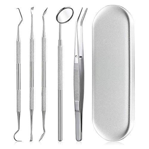 HANNEA® 5PCS Dental Hygiene Kit Care Dental Tool Professional Oral Care Family Use Oral Examination Tool Dental Mouth Mirror Dental Tweezers Blackhead Tools for Comedone Extractor